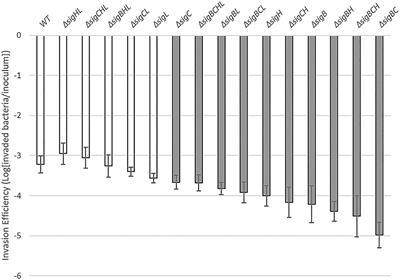 Roles of Alternative Sigma Factors in Invasion and Growth Characteristics of Listeria monocytogenes 10403S Into Human Epithelial Colorectal Adenocarcinoma Caco-2 Cell